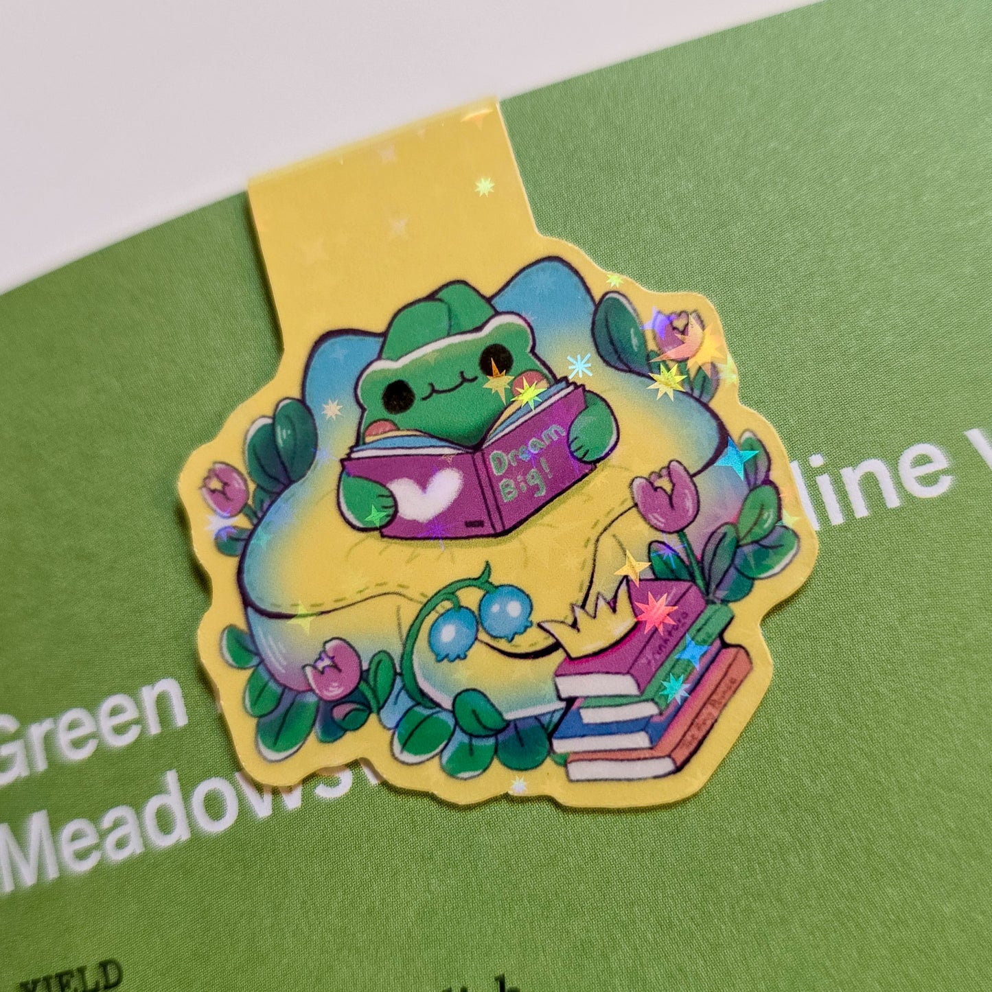 Frog reading books magnetic bookmarks