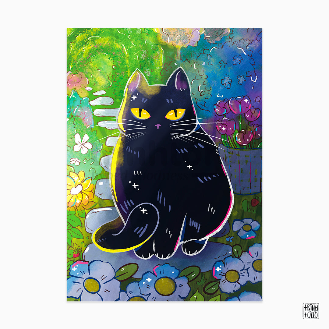Black cat in the garden